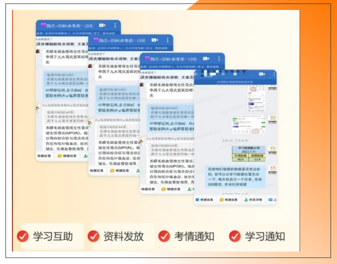 2025-2024全年正版资料免费资料大全功能介绍,精选解析解释落实