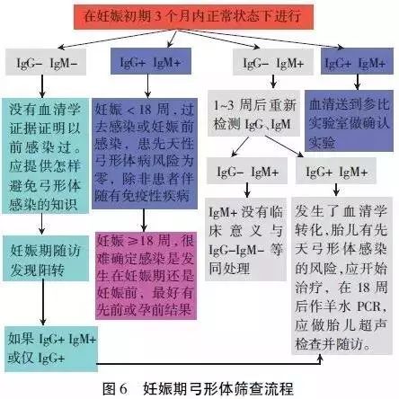 揭秘时间转换，揭秘怀孕周期中的32周等于几个月