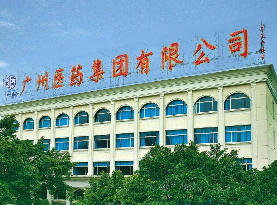 广东惠民药业有限公司，铸就卓越品质的医药典范