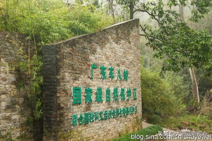 广东省斑鸠养殖基地，生态繁荣与持续发展的先锋