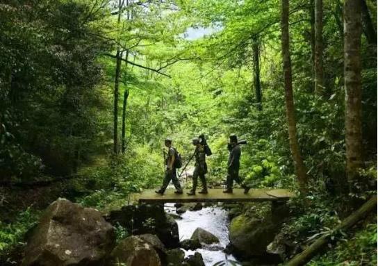 广东田园生物有限公司，绿色生态的引领者