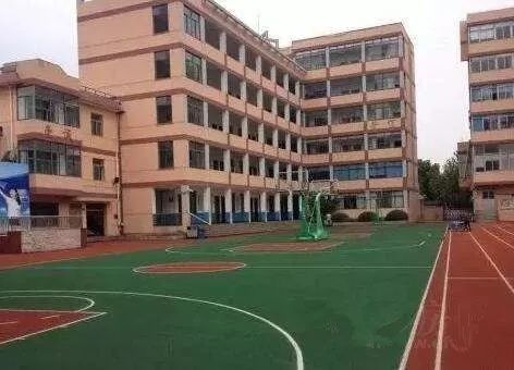 江苏科技园小学，培育未来的摇篮