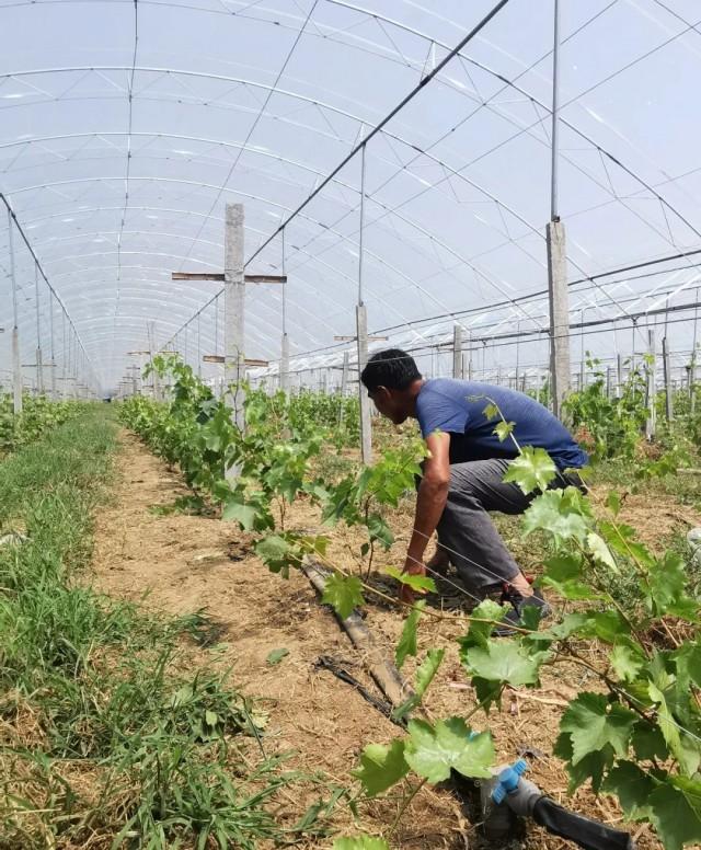 深圳国土与房产管理局，推动城市发展的坚实后盾