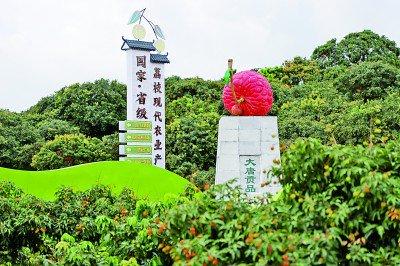 广东岭南荔枝有限公司，传承荔枝文化，铸就岭南骄傲