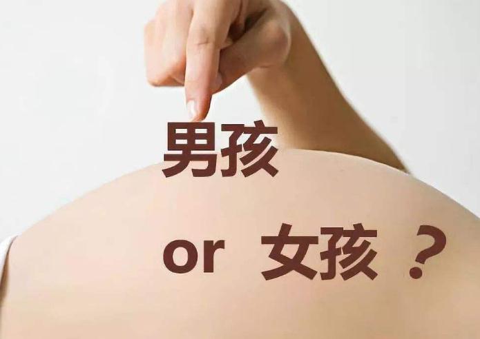 四个月看男女准吗，探究胎儿性别鉴定的科学性与争议性