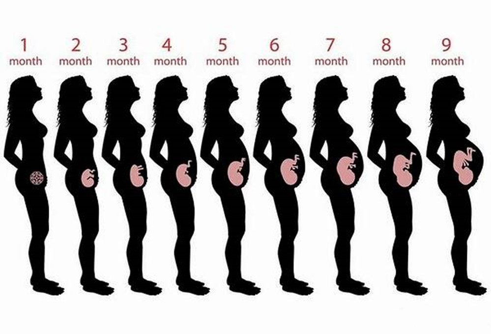 怀孕四个月肚子大小因人而异，深度解读孕期生理变化