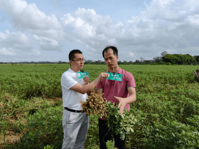 广东花生科技有限公司，引领农业科技新纪元