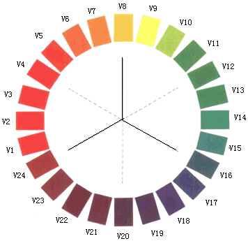 广东省设计色彩自考，探索色彩在设计中的重要性